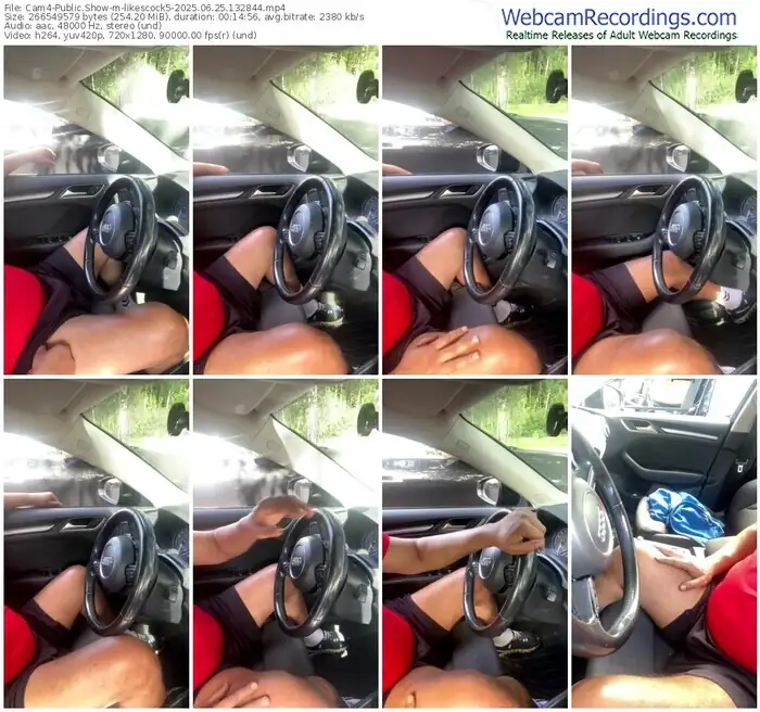 2025/06/25/cam4-likescock5-13-28-44