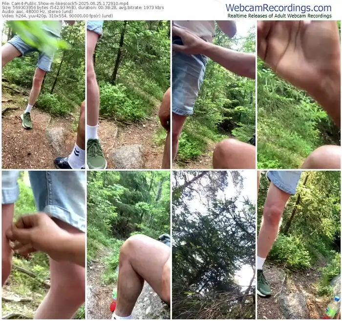 2025/06/25/cam4-likescock5-17-29-10