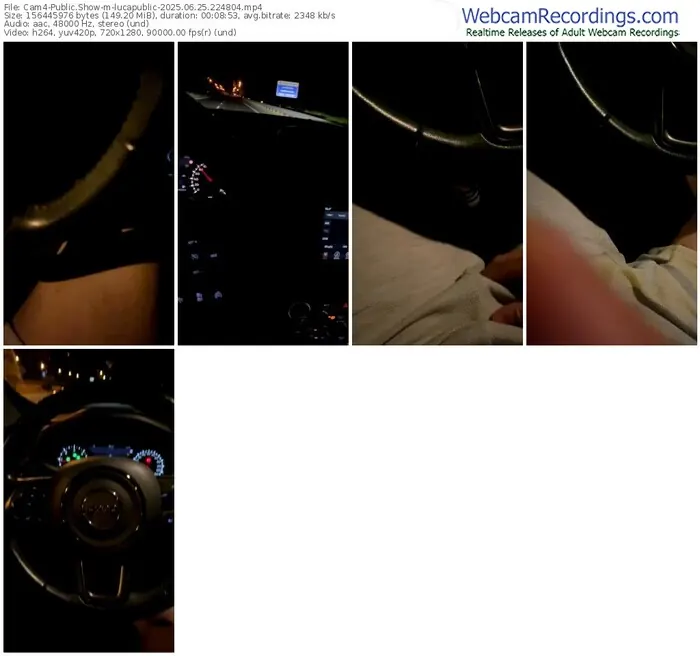 2025/06/25/cam4-lucapublic-22-48-04