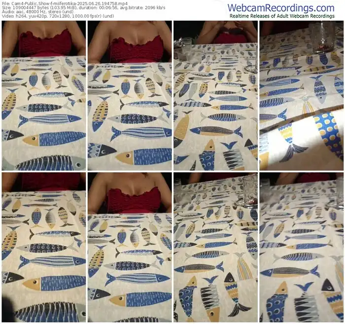 2025/06/26/cam4-milferotika-19-47-58