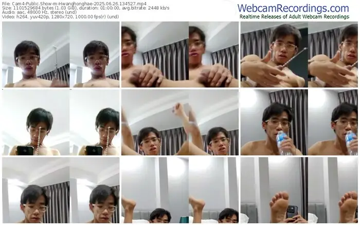 2025/06/26/cam4-hwanghonghae-13-45-27