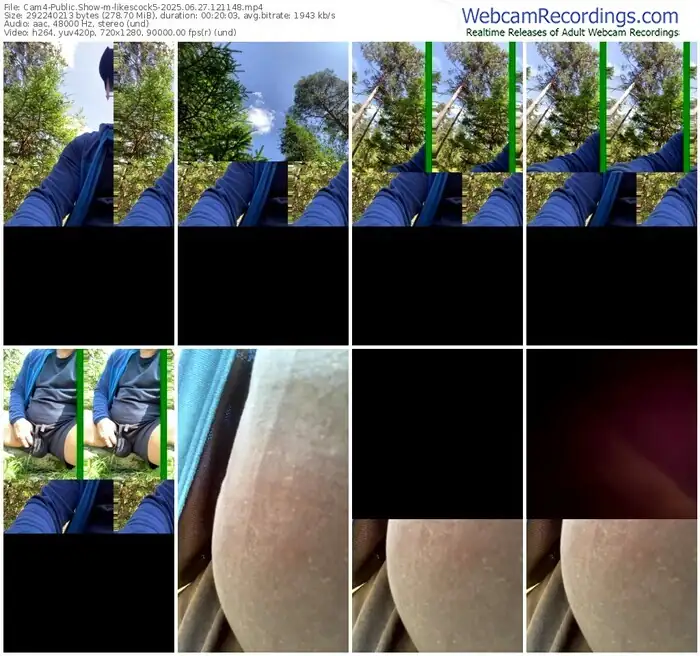 2025/06/27/cam4-likescock5-12-11-48