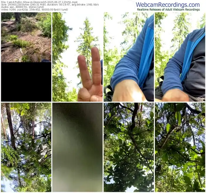 2025/06/27/cam4-likescock5-12-32-51