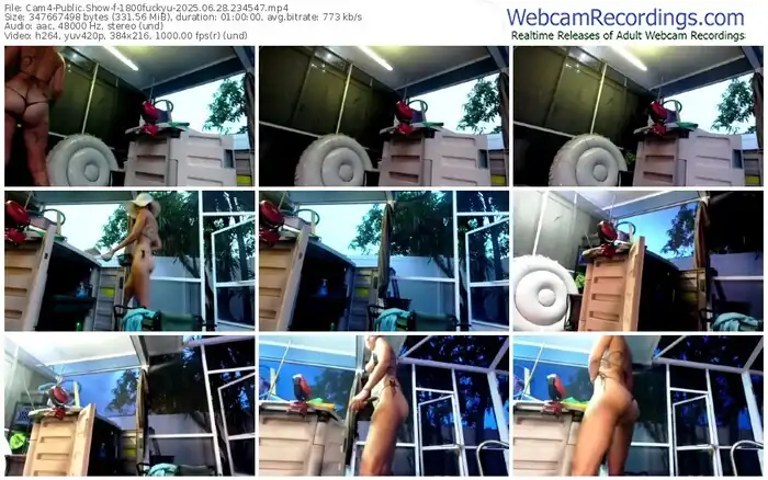 2025/06/28/cam4-1800fuckyu-23-45-47
