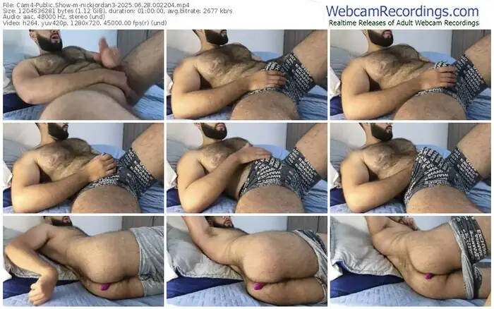 2025/06/28/cam4-nickjordan3-00-22-04