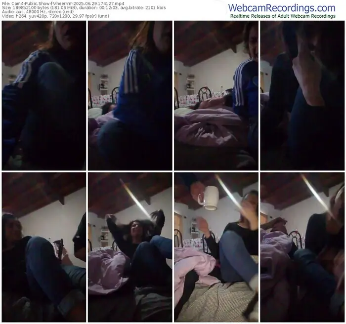 2025/06/29/cam4-vheerrrrr-17-41-27