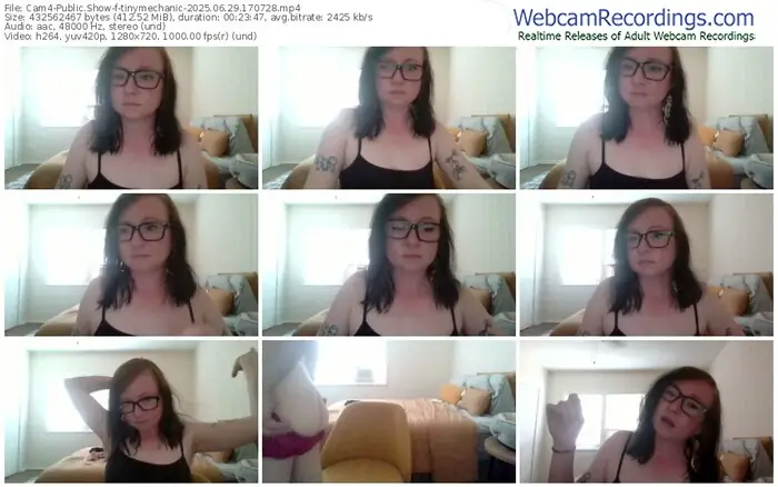 2025/06/29/cam4-tinymechanic-17-07-28