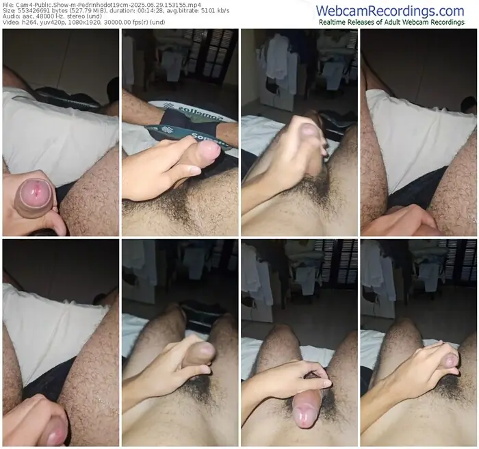 2025/06/29/cam4-pedrinhodot19cm-15-31-55