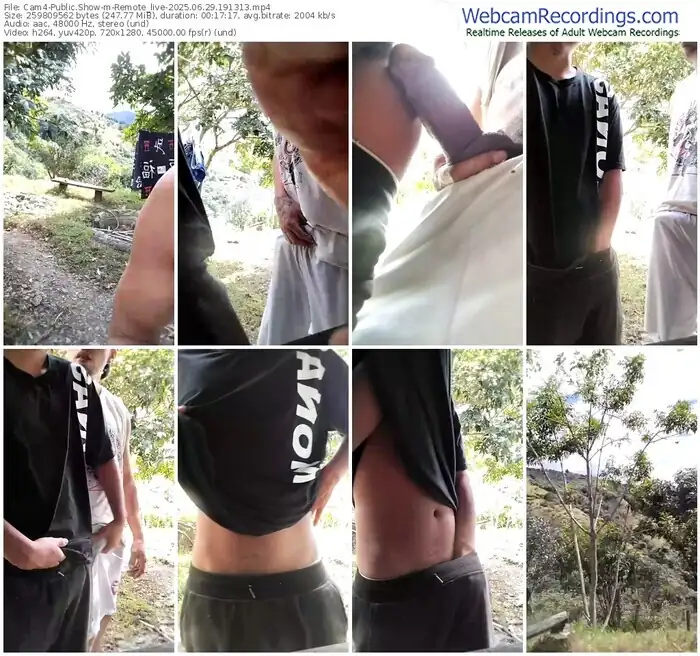 2025/06/29/cam4-remote_live-19-13-13