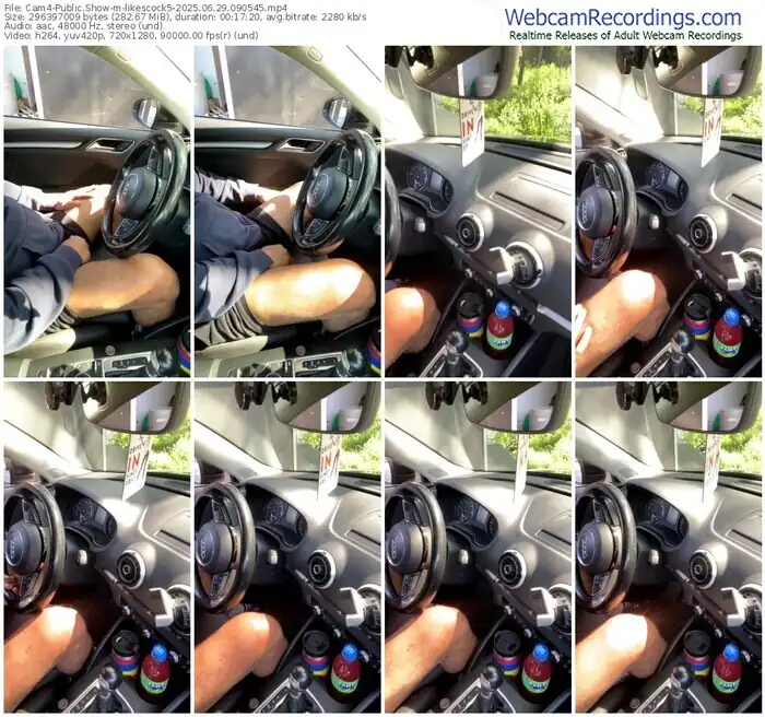 2025/06/29/cam4-likescock5-09-05-45