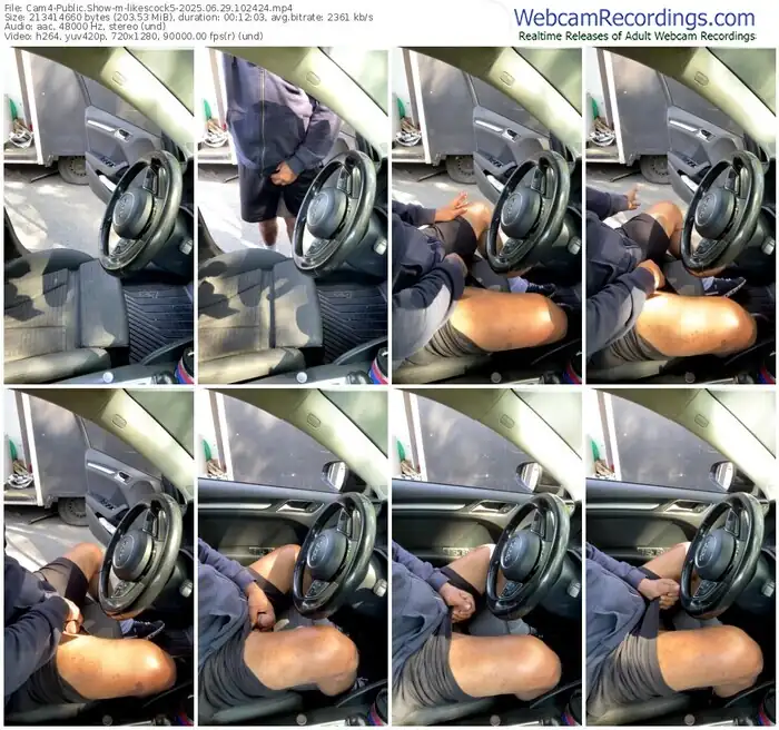 2025/06/29/cam4-likescock5-10-24-24