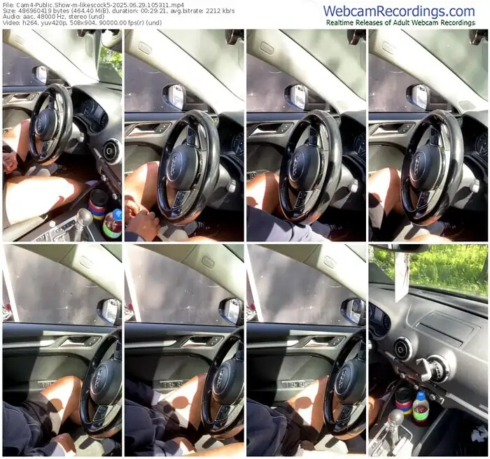 2025/06/29/cam4-likescock5-10-53-11