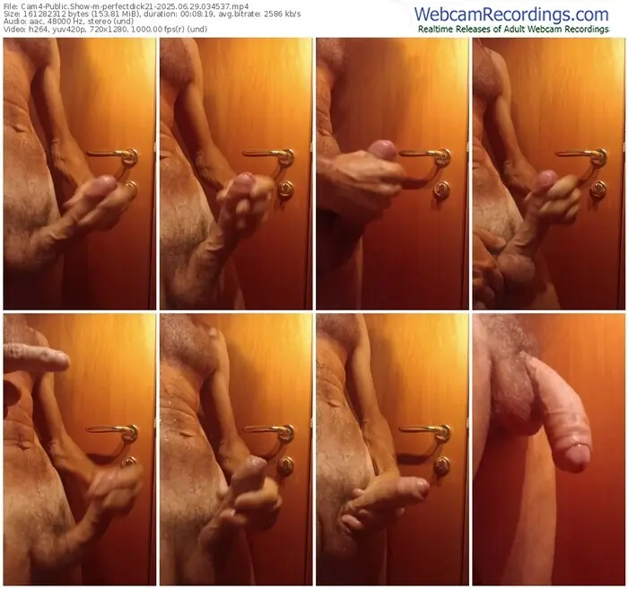 2025/06/29/cam4-perfectdick21-03-45-37