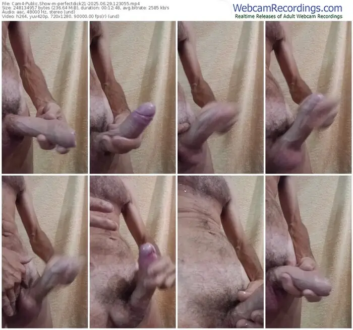 2025/06/29/cam4-perfectdick21-12-30-55
