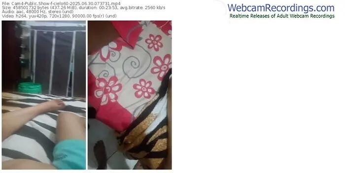 2025/06/30/cam4-cielo60-07-37-31