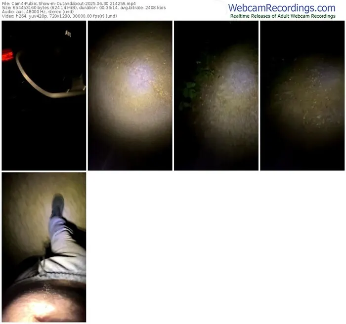 2025/06/30/cam4-outandabout-21-42-59
