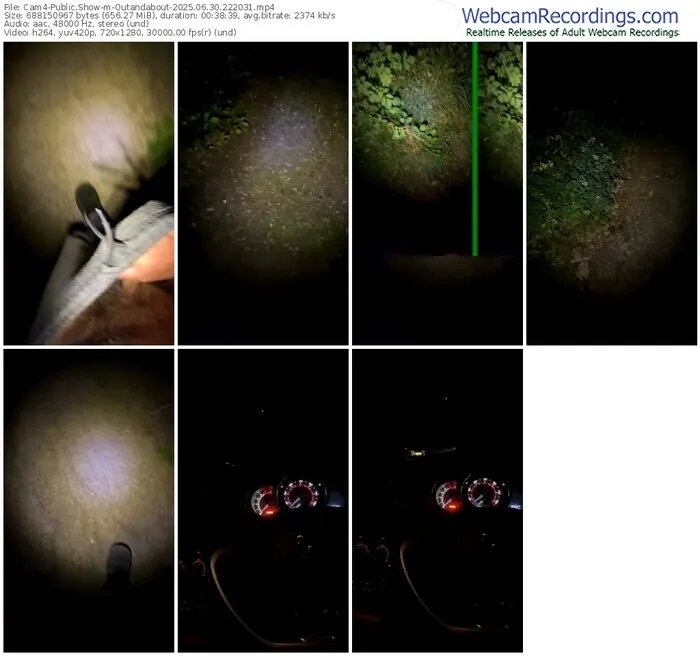 2025/06/30/cam4-outandabout-22-20-31