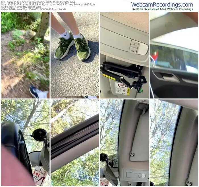 2025/06/30/cam4-likescock5-15-36-05