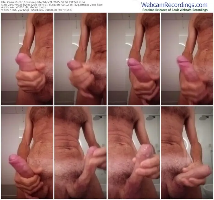 2025/06/30/cam4-perfectdick21-23-12-44
