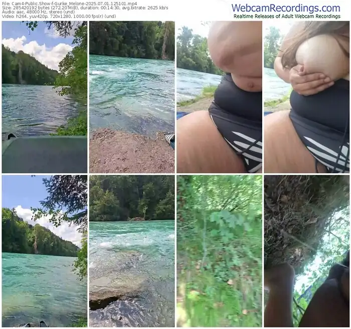 2025/07/01/cam4-gurke_melone-12-51-01