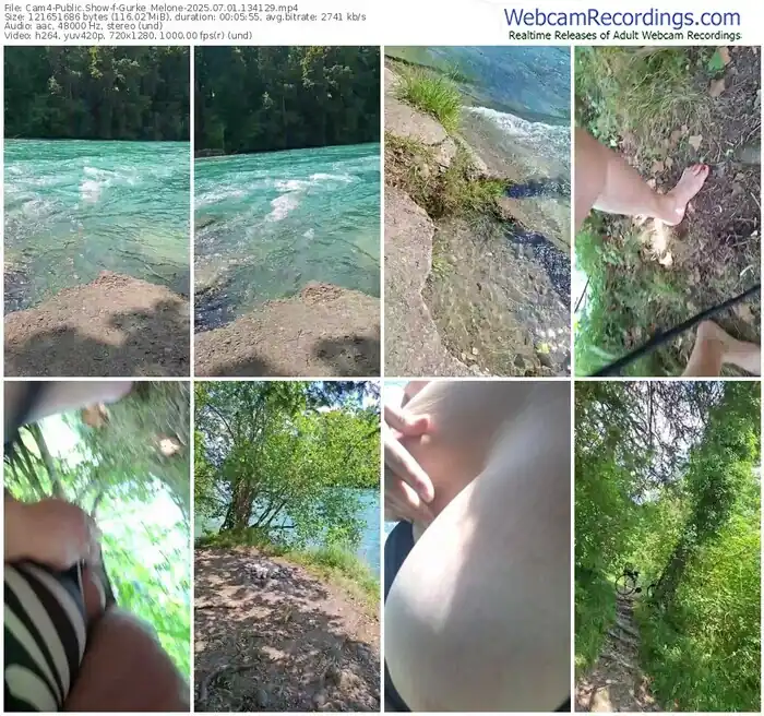 2025/07/01/cam4-gurke_melone-13-41-29