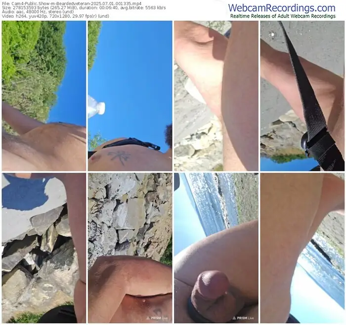 2025/07/01/cam4-beardedveteran-00-13-35
