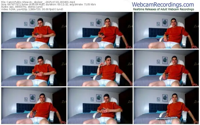 2025/07/01/cam4-_skyleer__-00-34-01