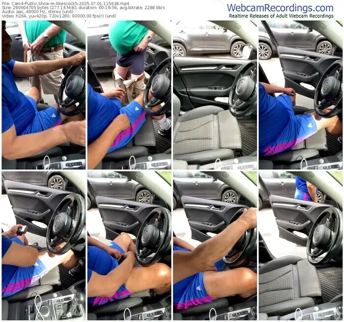 2025/07/01/cam4-likescock5-11-56-38