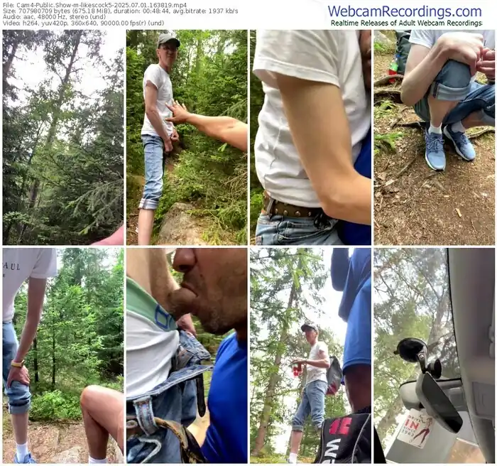 2025/07/01/cam4-likescock5-16-38-19