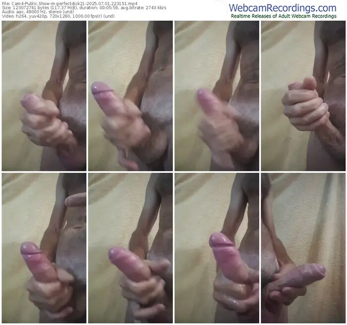 2025/07/01/cam4-perfectdick21-22-31-51