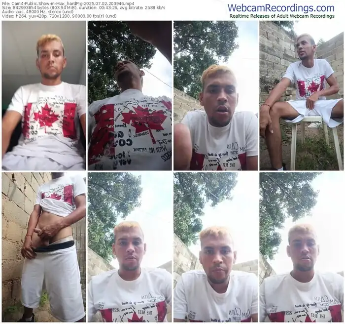2025/07/02/cam4-max_hardpig-20-39-46