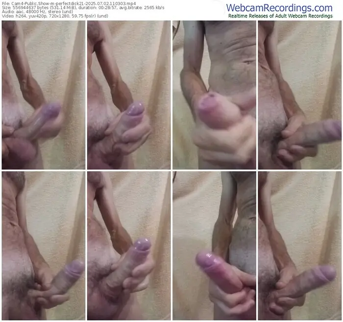 2025/07/02/cam4-perfectdick21-11-03-03