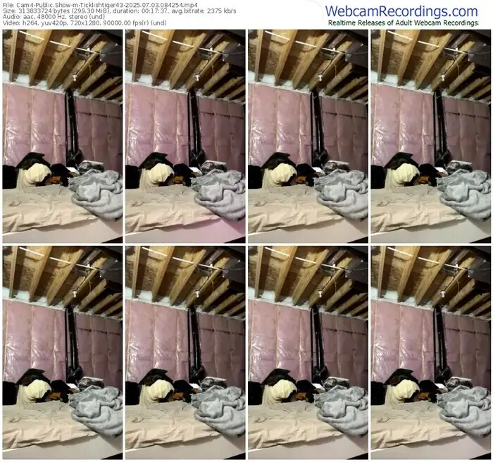2025/07/03/cam4-ticklishtiger43-08-42-54