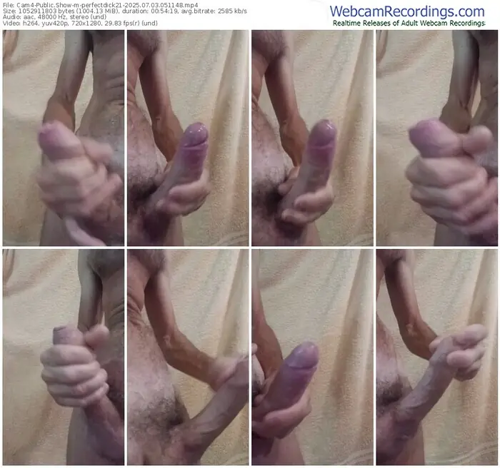2025/07/03/cam4-perfectdick21-05-11-48