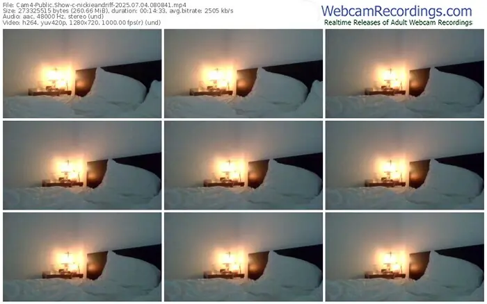 2025/07/04/cam4-nickieandriff-08-08-41