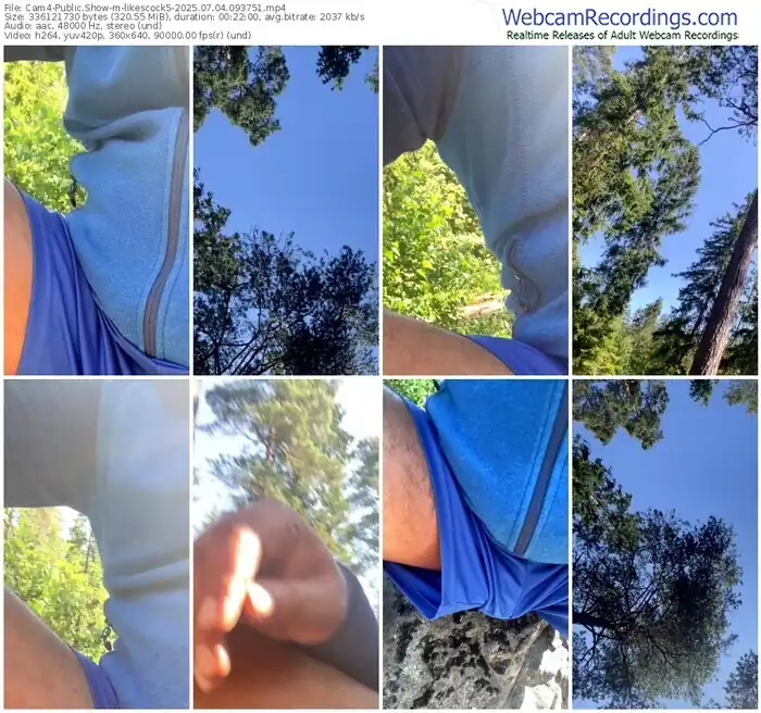 2025/07/04/cam4-likescock5-09-37-51