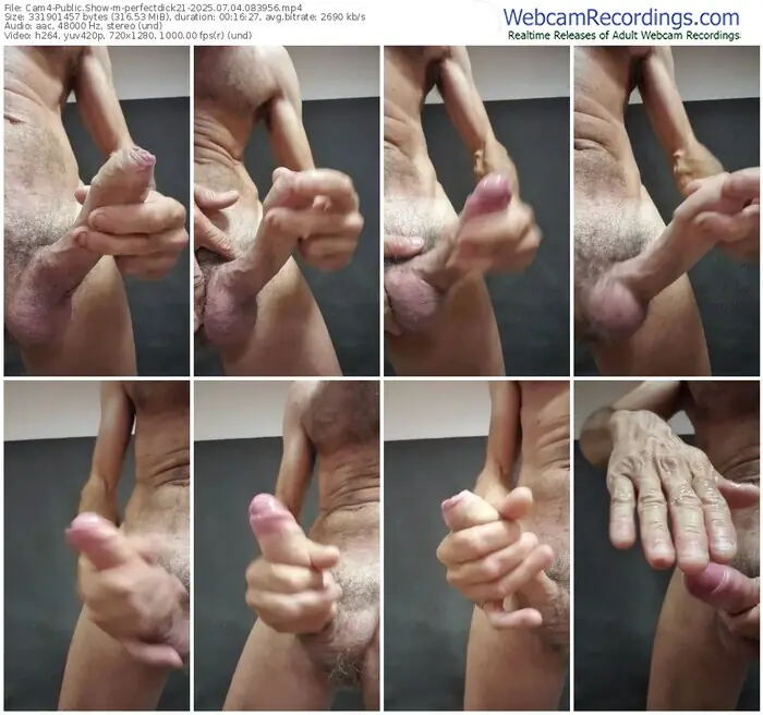 2025/07/04/cam4-perfectdick21-08-39-56