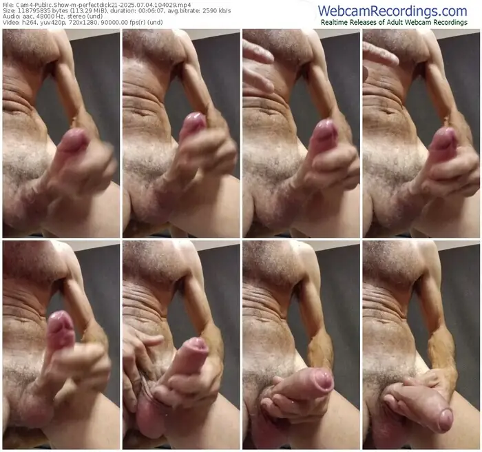 2025/07/04/cam4-perfectdick21-10-40-29