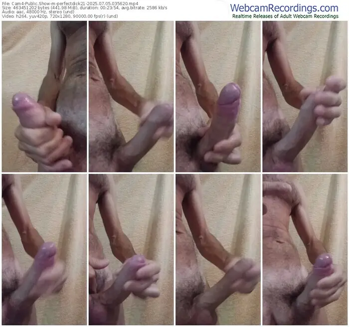 2025/07/05/cam4-perfectdick21-03-56-20