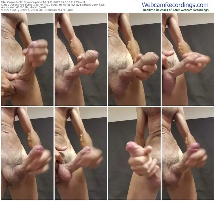 2025/07/05/cam4-perfectdick21-09-14-23