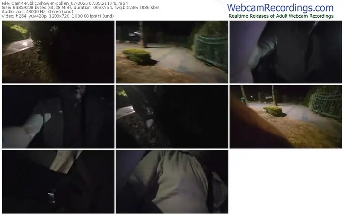 2025/07/05/cam4-pollen_07-21-17-41