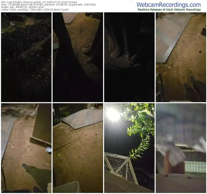 2025/07/05/cam4-pollen_07-22-21-33