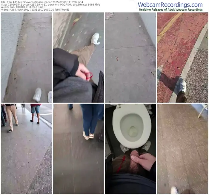 2025/07/08/cam4-oinseminador-11-17-50