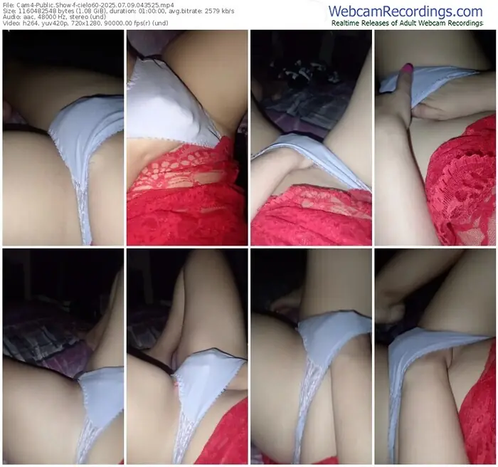 2025/07/09/cam4-cielo60-04-35-25