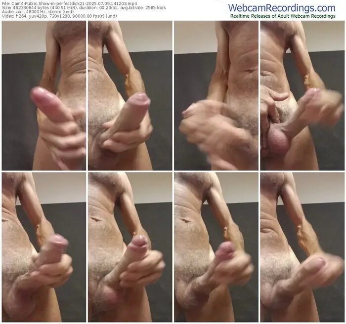 2025/07/09/cam4-perfectdick21-14-12-03
