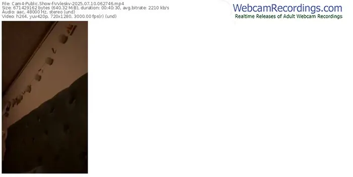 2025/07/10/cam4-vvleskv-06-27-46