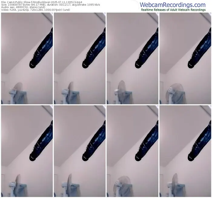 2025/07/11/cam4-fassfucklover-13-35-13