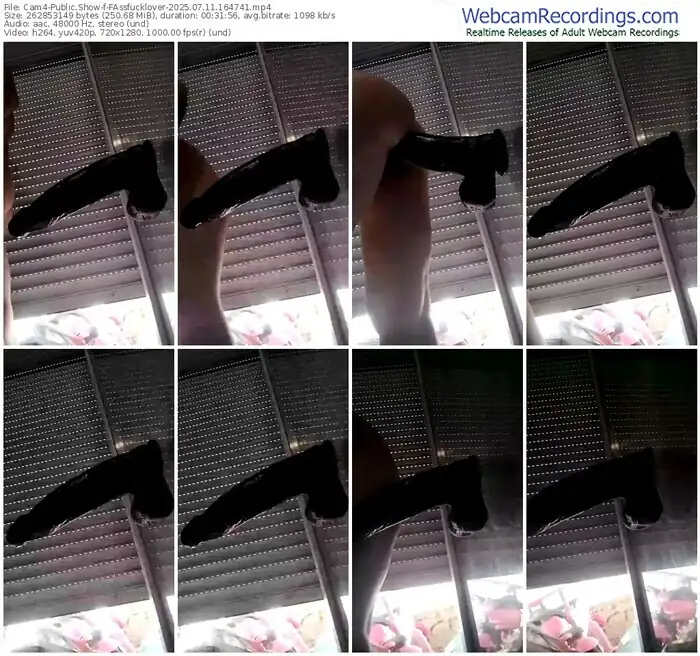 2025/07/11/cam4-fassfucklover-16-47-41