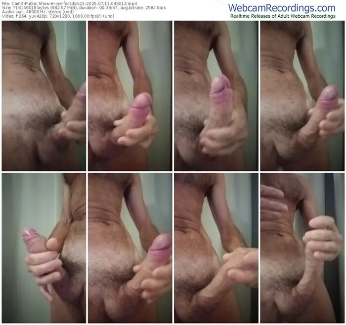 2025/07/11/cam4-perfectdick21-04-50-12