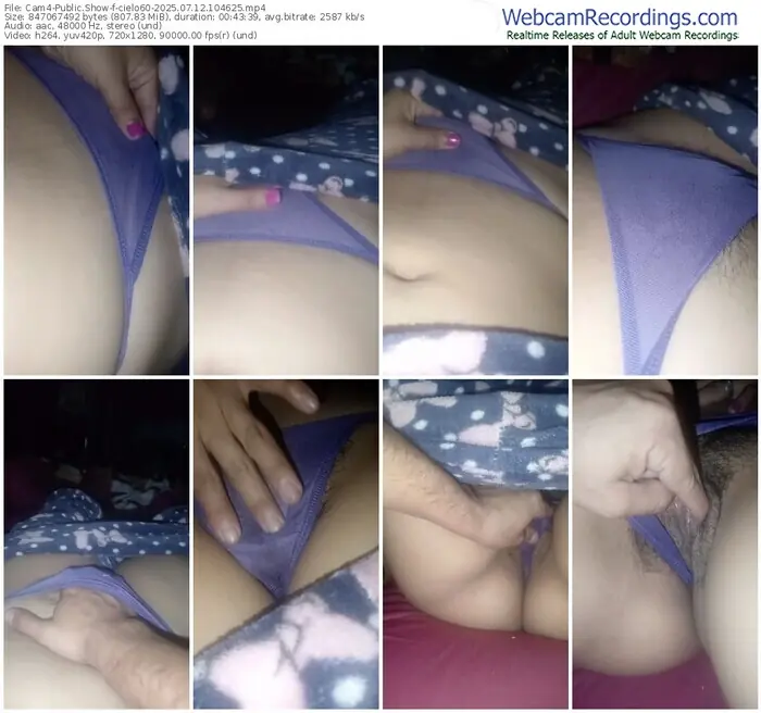 2025/07/12/cam4-cielo60-10-46-25